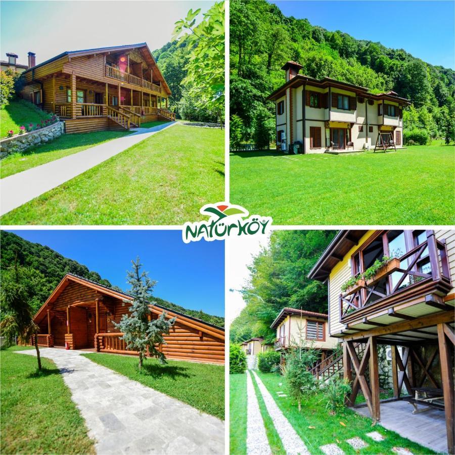 Naturkoy Sapanca Sakarya  Esterno foto