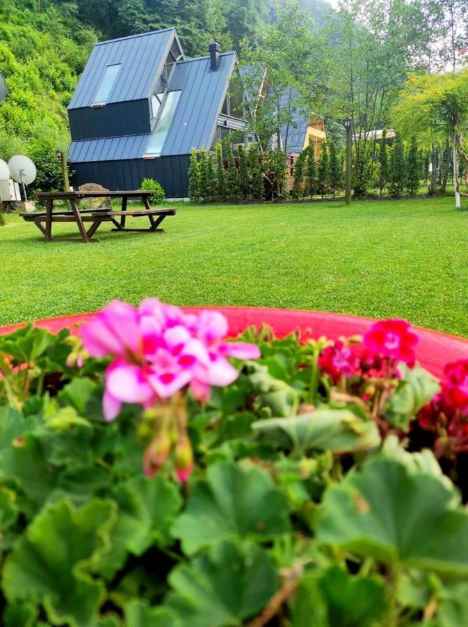 Naturkoy Sapanca Sakarya  Esterno foto