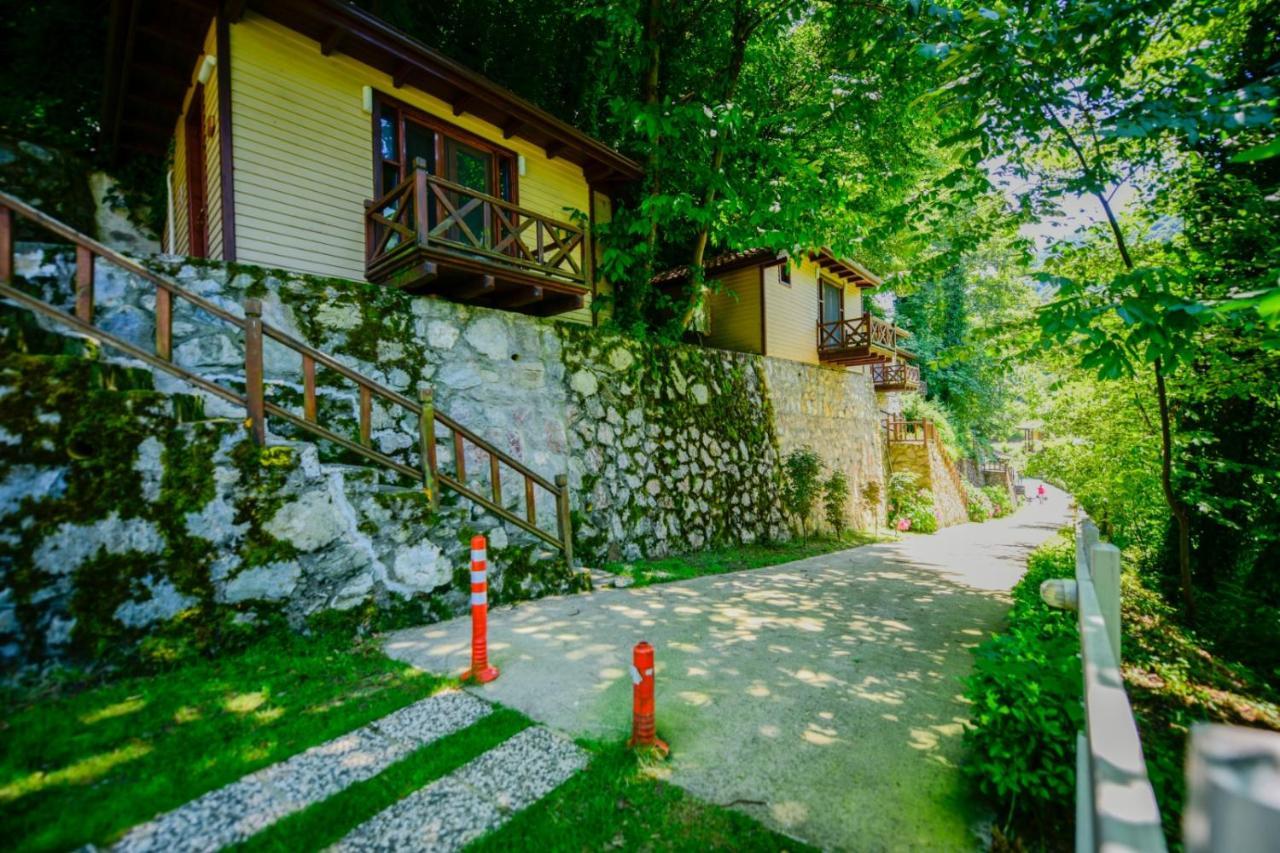 Naturkoy Sapanca Sakarya  Esterno foto