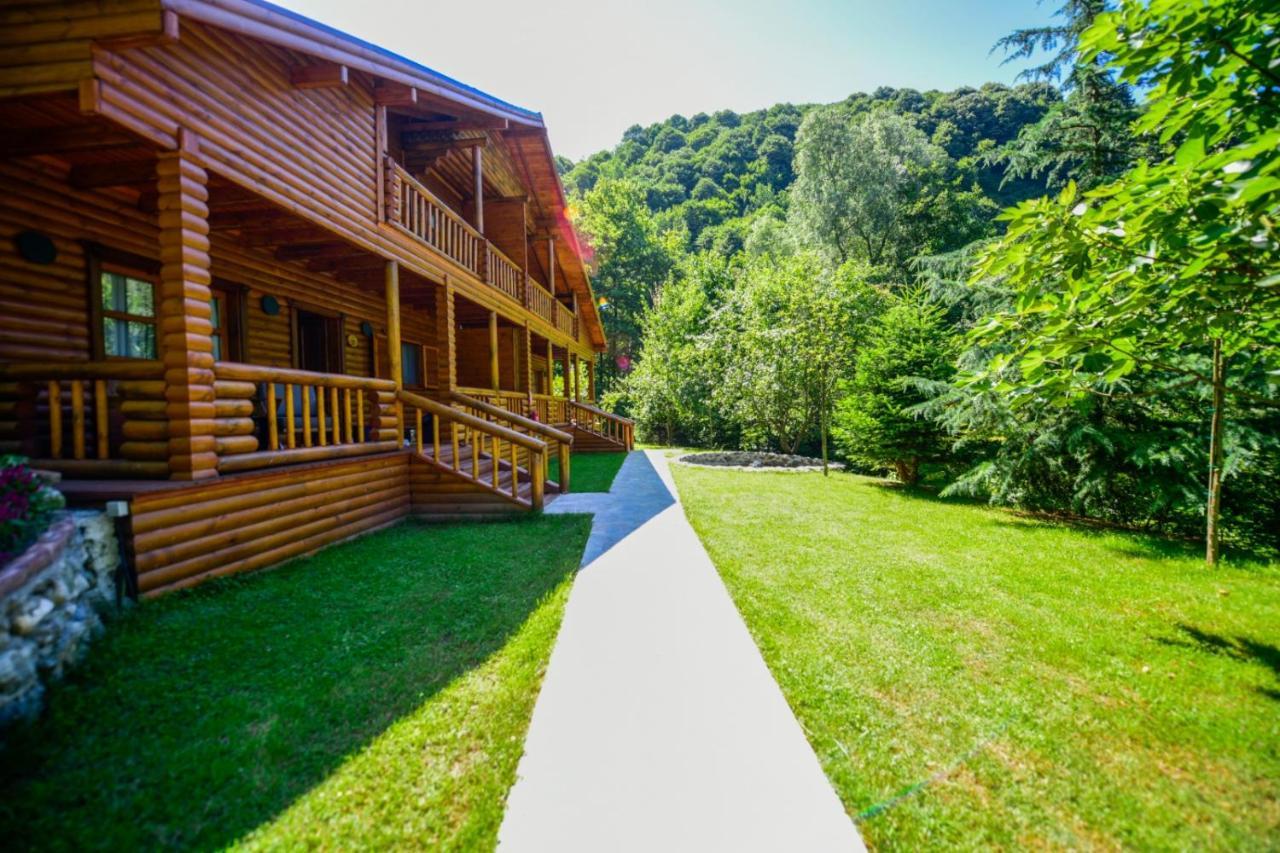 Naturkoy Sapanca Sakarya  Esterno foto