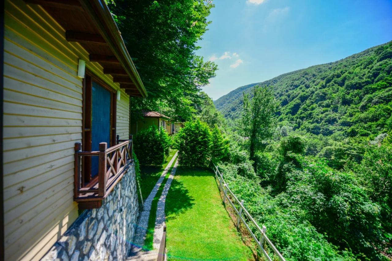 Naturkoy Sapanca Sakarya  Esterno foto