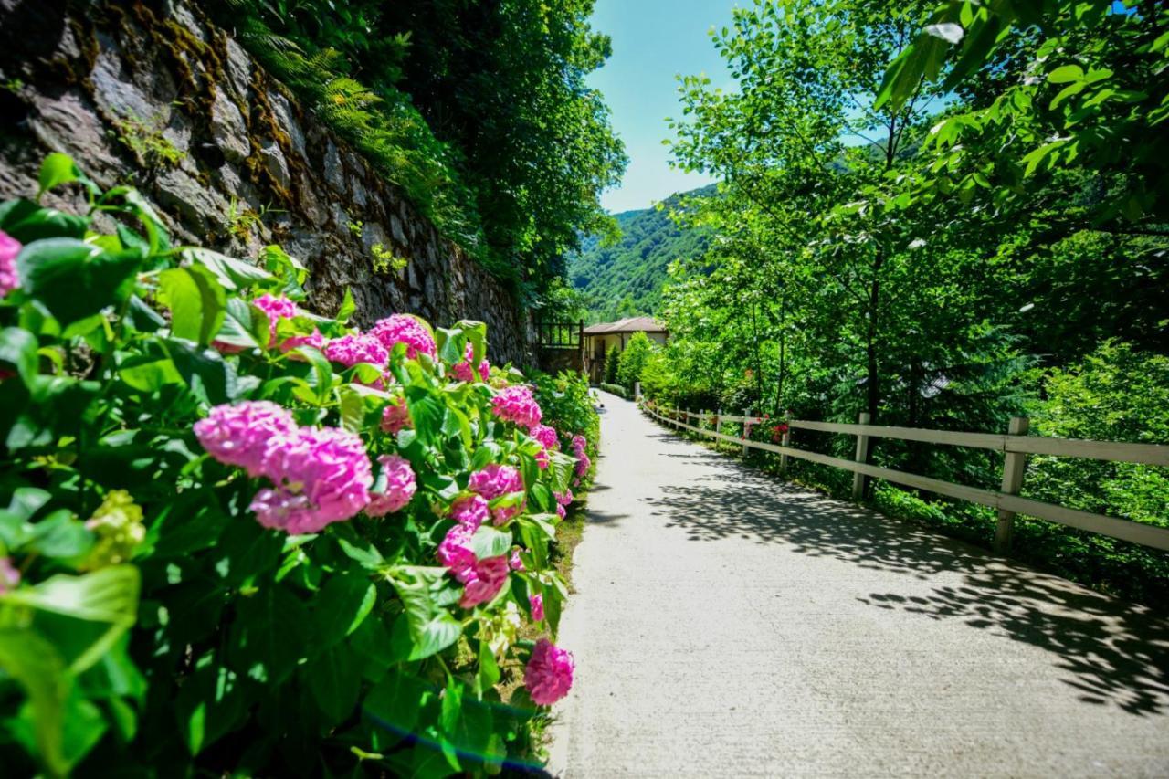 Naturkoy Sapanca Sakarya  Esterno foto
