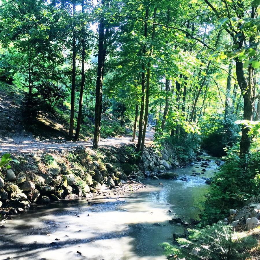 Naturkoy Sapanca Sakarya  Esterno foto