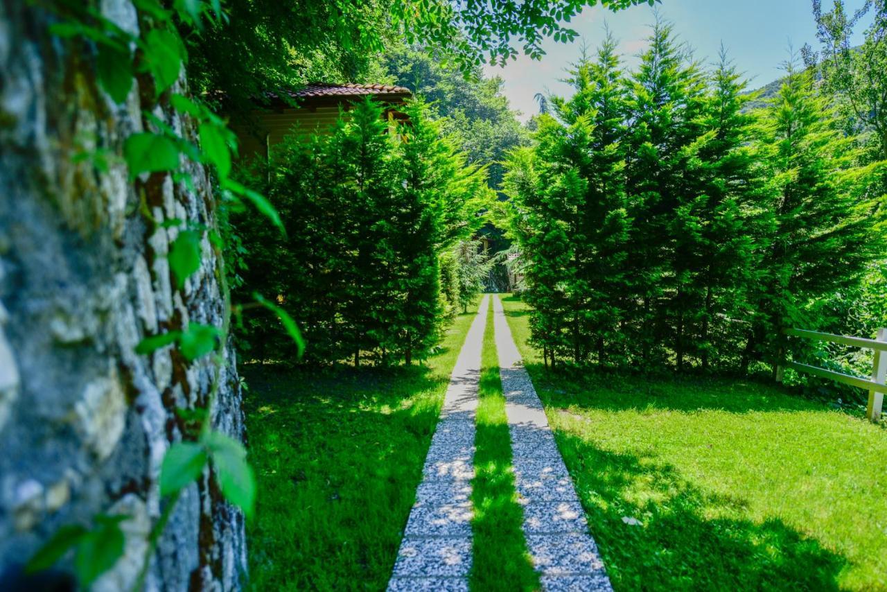 Naturkoy Sapanca Sakarya  Esterno foto