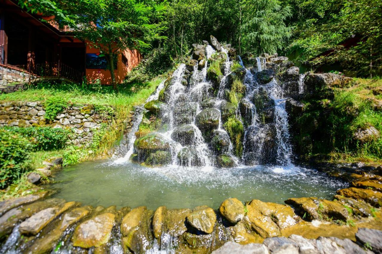 Naturkoy Sapanca Sakarya  Esterno foto
