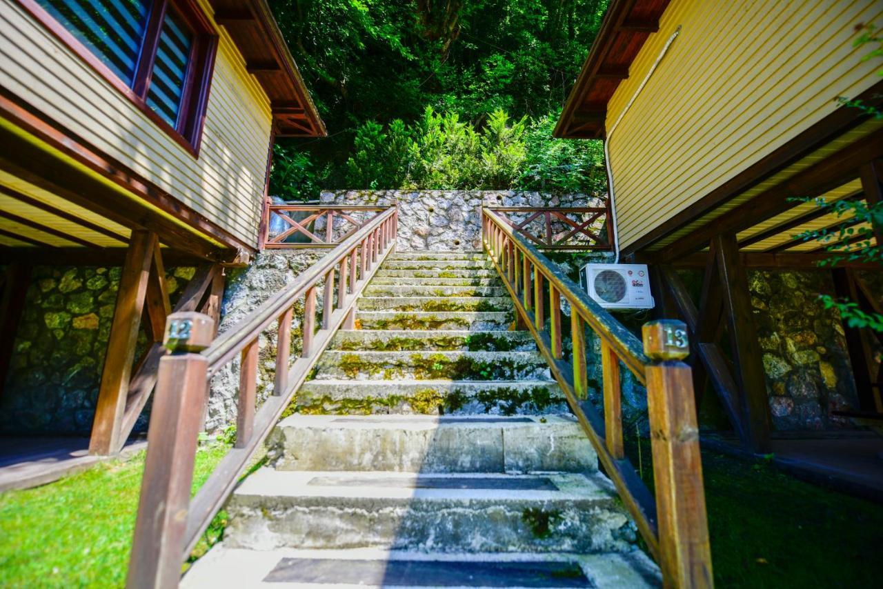 Naturkoy Sapanca Sakarya  Esterno foto