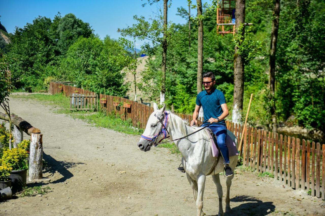 Naturkoy Sapanca Sakarya  Esterno foto